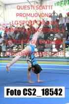 CS2_18542-