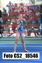 CS2_18546-