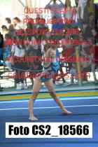 CS2_18566-