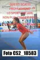 CS2_18583-