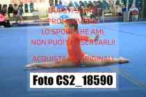 CS2_18590-