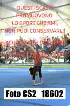 CS2_18602-