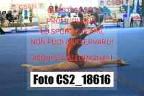 CS2_18616-