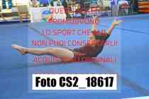 CS2_18617-