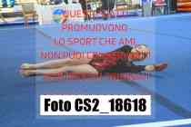 CS2_18618-