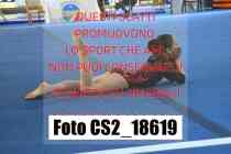 CS2_18619-