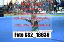 CS2_18636-