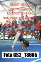 CS2_18665-
