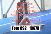CS2_18678-