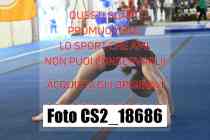 CS2_18686-