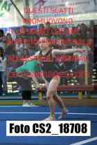CS2_18708-