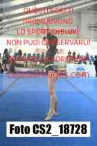CS2_18728-