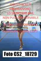 CS2_18729-