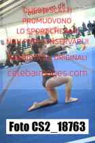 CS2_18763-
