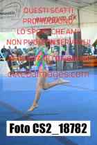 CS2_18782-
