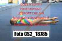 CS2_18785-