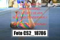 CS2_18786-