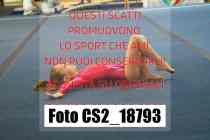 CS2_18793-