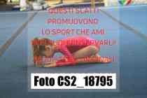 CS2_18795-