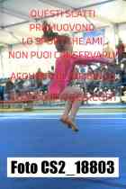 CS2_18803-
