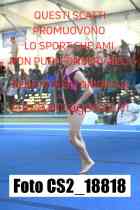 CS2_18818-