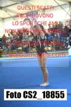CS2_18855-