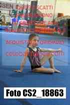 CS2_18863-