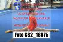 CS2_18875-