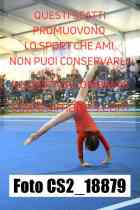 CS2_18879-