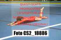 CS2_18886-