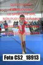 CS2_18913-