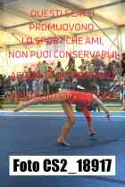 CS2_18917-
