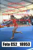 CS2_18953-