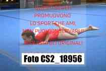 CS2_18956-