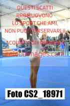 CS2_18971-