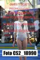 CS2_18990-