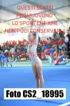 CS2_18995-