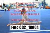 CS2_19004-