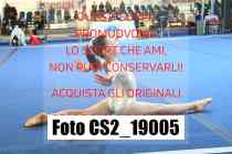 CS2_19005-