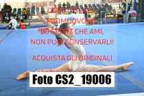 CS2_19006-