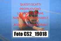 CS2_19018-