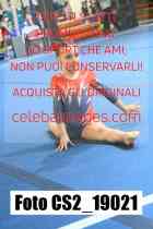 CS2_19021-