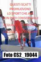 CS2_19044-
