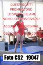CS2_19047-