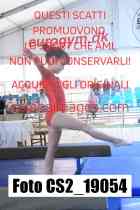 CS2_19054-