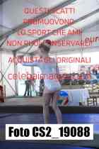 CS2_19088-