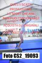 CS2_19093-