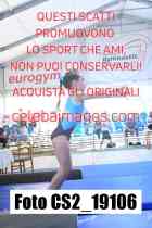 CS2_19106-