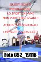 CS2_19116-