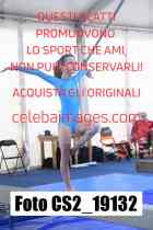 CS2_19132-
